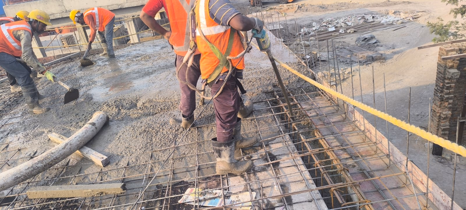 Construction Project - Plant Work